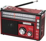 Radio Portable FM/AM/SW1-2 Radio Multibande avec Batterie Rechargeable 1800 mAh