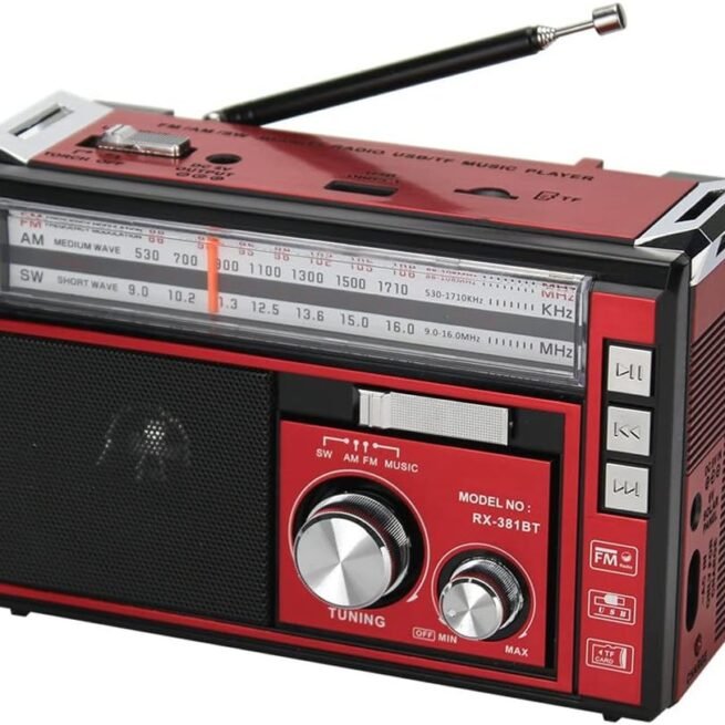 Radio Portable FM/AM/SW1-2 Radio Multibande avec Batterie Rechargeable 1800 mAh